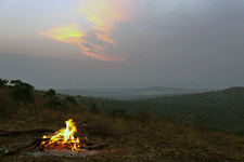 Uganda-Uganda-Lake Mburo Wildlife Horse Safari